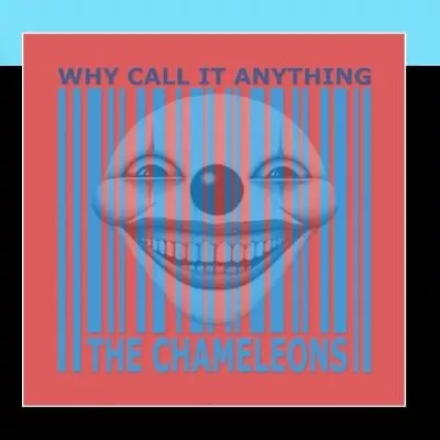 Chameleons - Why Call It Anything - Chameleons CD AAVG The Cheap Fast Free Post • £12.72