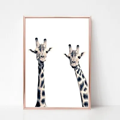 Giraffe Print Poster A4  Picture Unframed Animal Pair Wall Art 25 Black White • £3.85