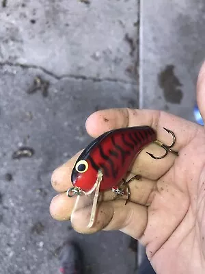 RARE Bagley Fishing Lure B Flat Tough Texas Red !! Crank Bait Balsa Square Bill • $9.99