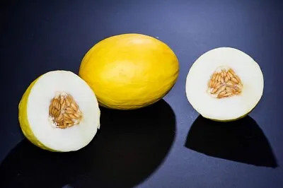 100 Canary Melon Seeds Cucumis Melo Non-GMO Free Shipping • $3.99