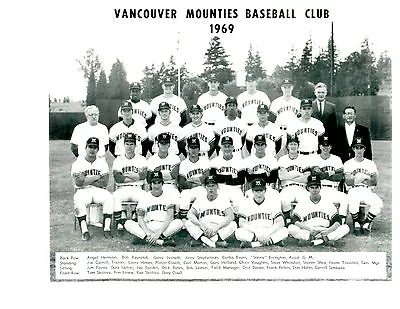 1969 Vancouver Mounties  Baseball Team  Photo Canada Seattle Pilots Farm Team • $5.95