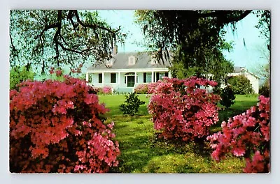 Postcard Mississippi Natchez MS Hawthorne Mansion Plantation 1960s Unposted • $4