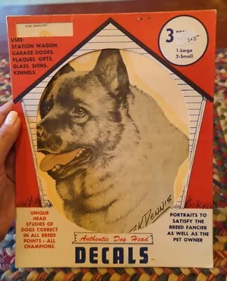 Vintage Elkhound 1971 Dog Art Decal By D.K. Dennis RARE!! • $19