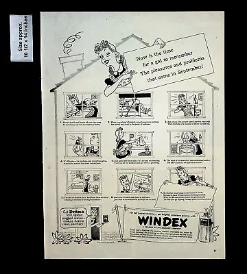 1945 Windex Window Cleaner House No Streaking Woman Vintage Print Ad 34232 • $7.48