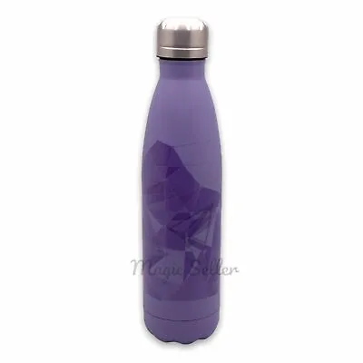 $44.99 • Buy Disney Parks Tomorrowland Purple Wall Stainless Steel Water Bottle New 🔥💥