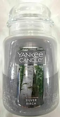 $29.97 • Buy Yankee Candle SILVER BIRCH Large Jar 22 Oz Gray Housewarmer New Wax