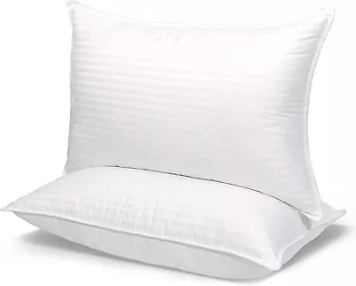 2 Laura Benasse Pillows Luxury Plus Queen Size Hotel Standard Microfiber Set/2 • $29.99