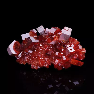 Red Vanadinite Crystals On Matrix From Mibladen - Morocco • $235