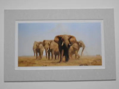 David Shepherd Print 'Four Gentlemen Of Tsavo' Elephants UNFRAMED • £22