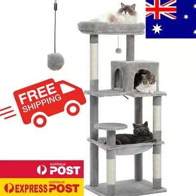 Multi Level Tall Cat Tree Tower Super Large Hammock 20X16 Inch Sisal Covered Gre • $89.98