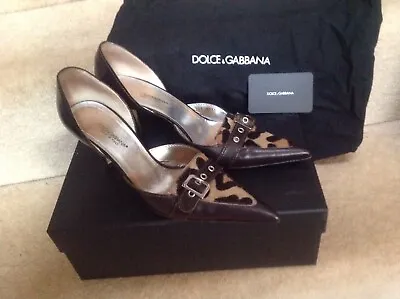 £50 • Buy Dolce & Gabbana Ladies Brown Court Shoes With Leopard Print Insert (38)