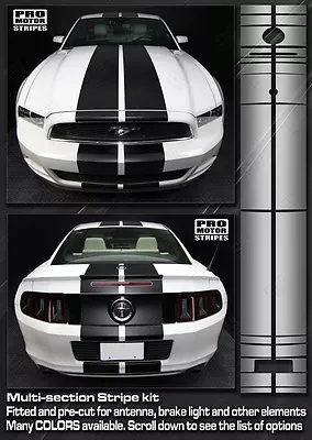 Ford Mustang 2013-2017 Pre-cut Over-The-Top Double Rally Stripes (Choose Color) • $119