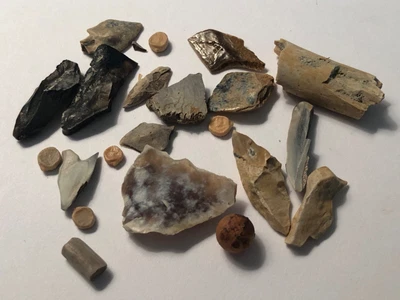 $3.95 • Buy 15+ Misc. Hell Creek Formation Fossils Scale, Seeds, Bone, Turtle *