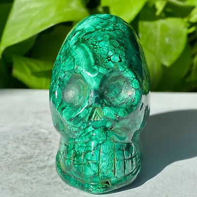 1.24LB Natural Gemstone Malachite Quartz Crystal Skull Carved Healing Reiki Ston • $0.99