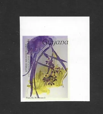 M3897 Guyana Hybrid Masdevallias Flowers - Plants Nature Imperf Stamp • $9.99