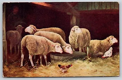 Animals~Sheep & Chicken In Barn Painting~Vintage Postcard • $3.70