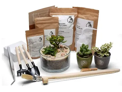 Terrarium Kit For Succulents Cacus Plants Includes Glass Substrates Guide Decor • £30.99