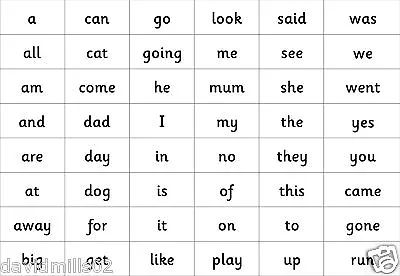 National Literacy Reception Magnetic Learning Words • £6.50