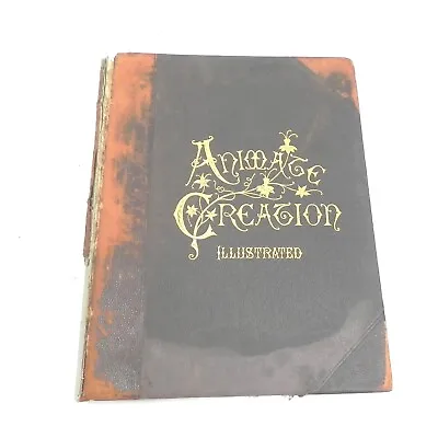Vintage 1898 Animate Creation Illustrated Our Living World By Rev J G Wood • $44.97