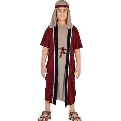 Kids Boys Xmas Nativity Joseph Costume Shepherd Townspeople Villager Costume • £9.99