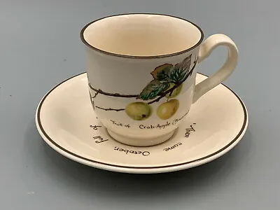Noritake The Country Diary Of A Edwardian Lady - Tea Cup And Saucer. • £5.39