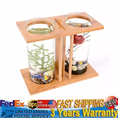 Mini Fish Tank Bowl Goldfish Betta Aquarium Office Desktop Small Decoration NEW • $20.90