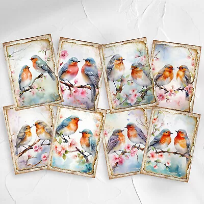 Vintage Spring Robin Card Toppers Tags Scrapbooking & Journal Supplies Birds • £2.80