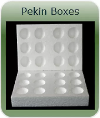 10 X 12 Hole Pekin  Polystyrene Egg Boxes Hatching/incubation Chicken • £29