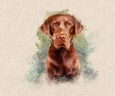 £4.50 • Buy Chocolate Labrador 18 Inch Fabric Cushion Panel