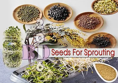£3.99 • Buy Organic SPROUTING SEEDS For Sprout_Microgreens_Green Salad_Healthy_SUPERFOOD