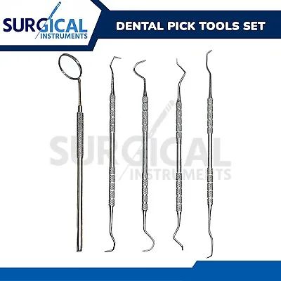 1 Set Dental Pick & Mirror Tools Sculpture Instrument Double End Oral Kit German • $7.10