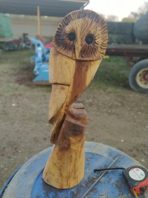 £55 • Buy Great Gift Idea Sussex Chainsaw Carvings Yew Owl Home Or Garden Wooden Sculpture