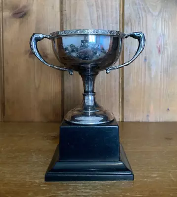 NOT ENGRAVED Vintage Silver Plate Trophy Loving Cup Trophies Trophy • $34.83