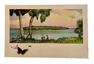 E. G. Barnhil Unposted Postcard Card Seascape Palm Tree Butterfly Scene Florida • $12.50