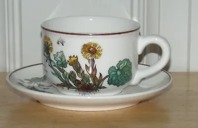 Villeroy & Boch Botanica Cup & Saucer New With Tags • $21.99