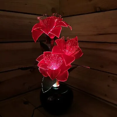£28.49 • Buy Premier 40cm Fibre Optic Christmas Red Poinsettias With LED Lights