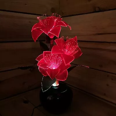 £28.49 • Buy Premier 40cm Fibre Optic Christmas Red Poinsettias With LED Lights