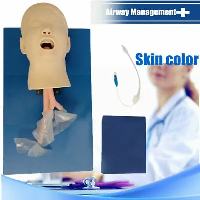 $185.25 • Buy Airway Management Trainer Lab Intubation Child Head Model Intubation Manikins