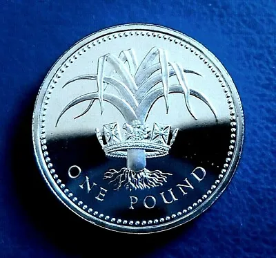 £3.20 • Buy 1985 One Pound  Welsh Leek  .925 Silver Proof + Capsule - Excellent