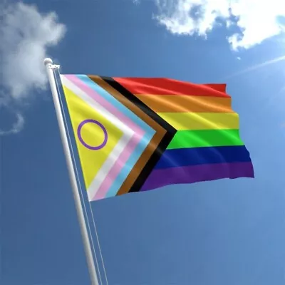 INTERSEX PRIDE FLAG 5ft X 3ft Rainbow Gay Inclusive Flags With Eyelets LGBTQIA+ • £3.49