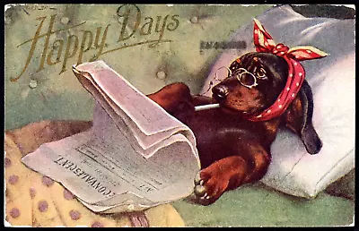 Fantasy Humanized Dachshund Dog Reading Newspaper In Bed Mailed 1909 Antique Pc • $6.99