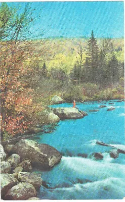 Greetings From MahopacNY Autumn Forest White Water 1955 Postcard 2Cent Stamp • $6.39