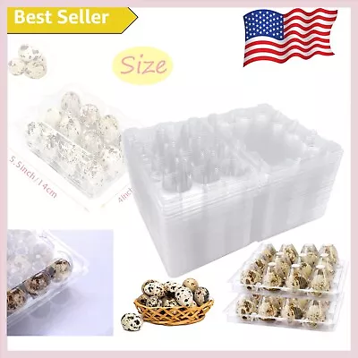 Stable Quail Egg Storage - 50 Pack Eco-Friendly Egg Cartons For Refrigerator • $23.99