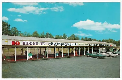 GOLF -   LOMMA CHAMPIONSHIP  MINI GOLF Scranton PA - Vintage Advertising P'card • $4.99