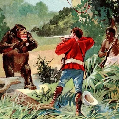 C.1890 McLaughlin's Coffee Victorian Trade Card Gorilla Hunting Jungle Native • $49.99