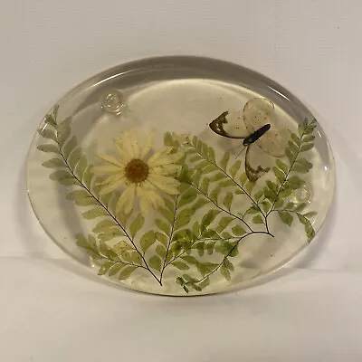 Vintage 1960s  Lucite Dry Daisy Ferns Butterfly Trivet Mid Century Modern  • $15.75