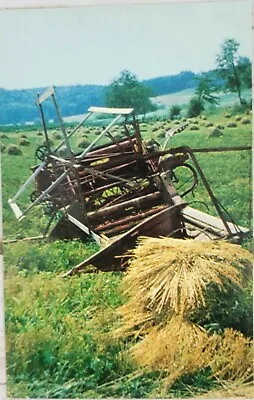 Millersburg Ohio Postcard Yoders Amish Horse Drawn Farm Equipment • $4.74