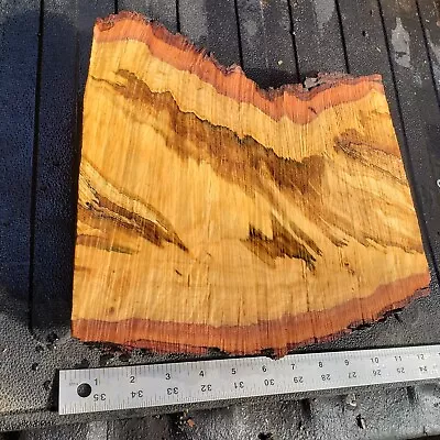  Beautiful Spalted Maple Rough Cut Slab For Crafting Fresh Cut Live Edge  • $25