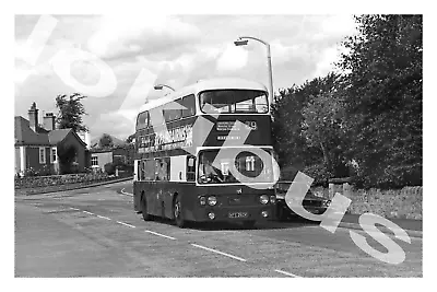 Bus Photograph LOTHIAN REGIONAL TRANSPORT WFS 260K [260] • £1.25