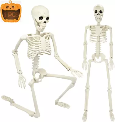 3FT Halloween Skeleton 36  Full Body Halloween Skeleton With Movable Posable Jo • $24.13